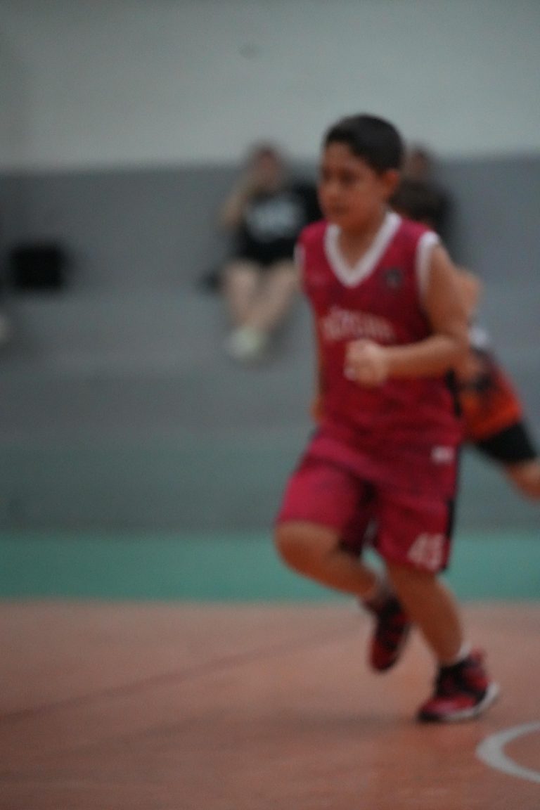 DSC07654